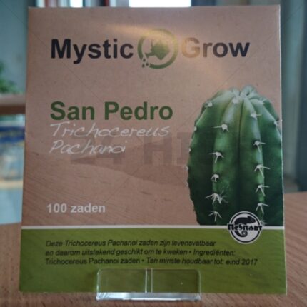 Buy San Pedro seeds Canberra